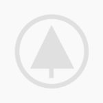 Smart watches wood edition