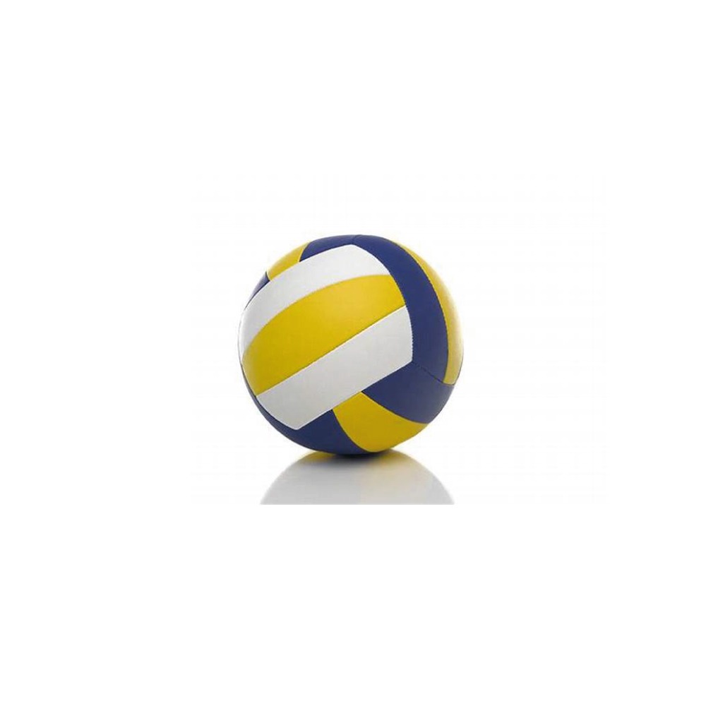 Volly-ball4
